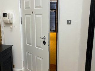 pure white security door