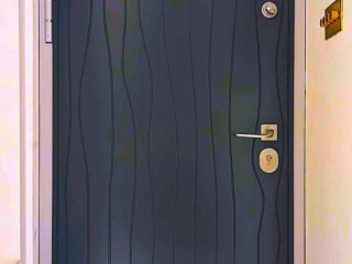 custom security doors