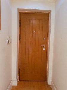 light brown Security Doors